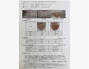 菌検査の定期的な実施